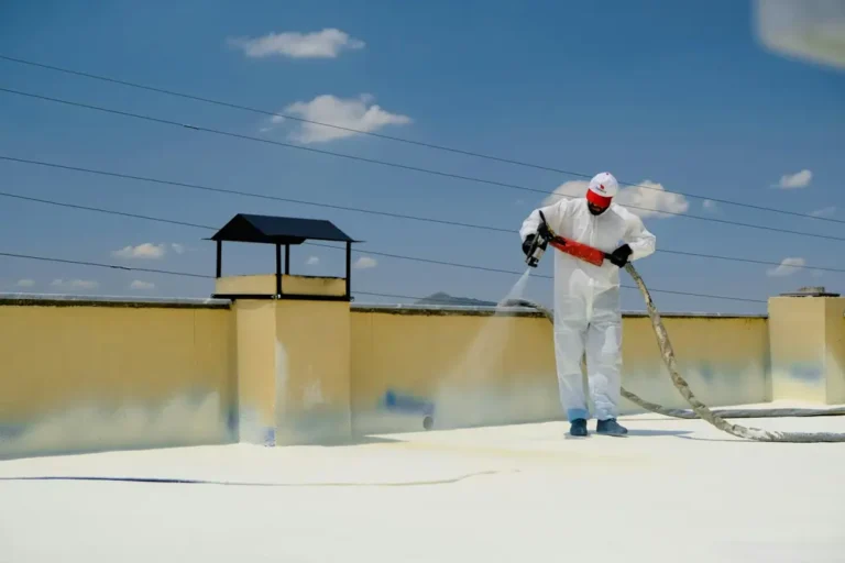 soft wash roof cleaning