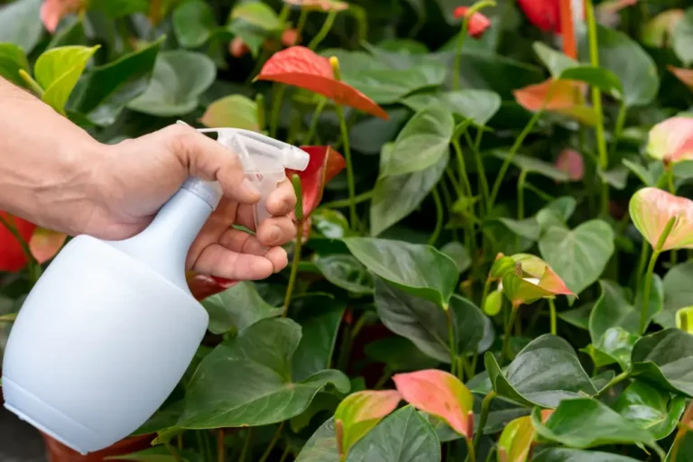 weed killer for flower beds