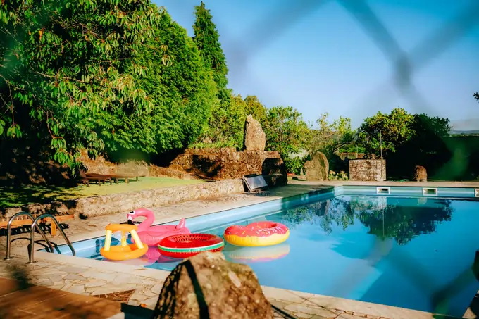 swimming pool fences and trellises