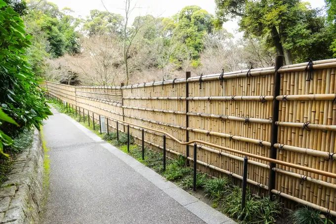 modern fence line landscaping